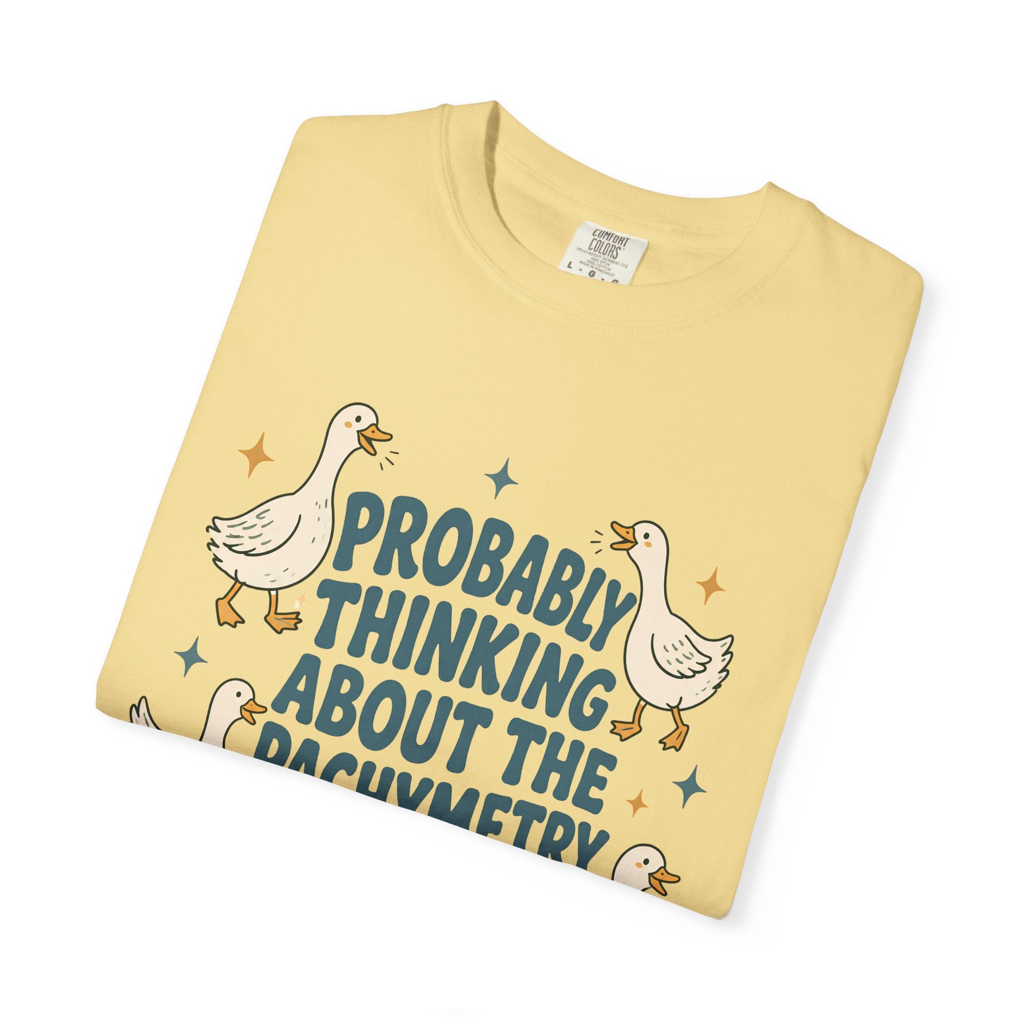 Pachymetry T-Shirt