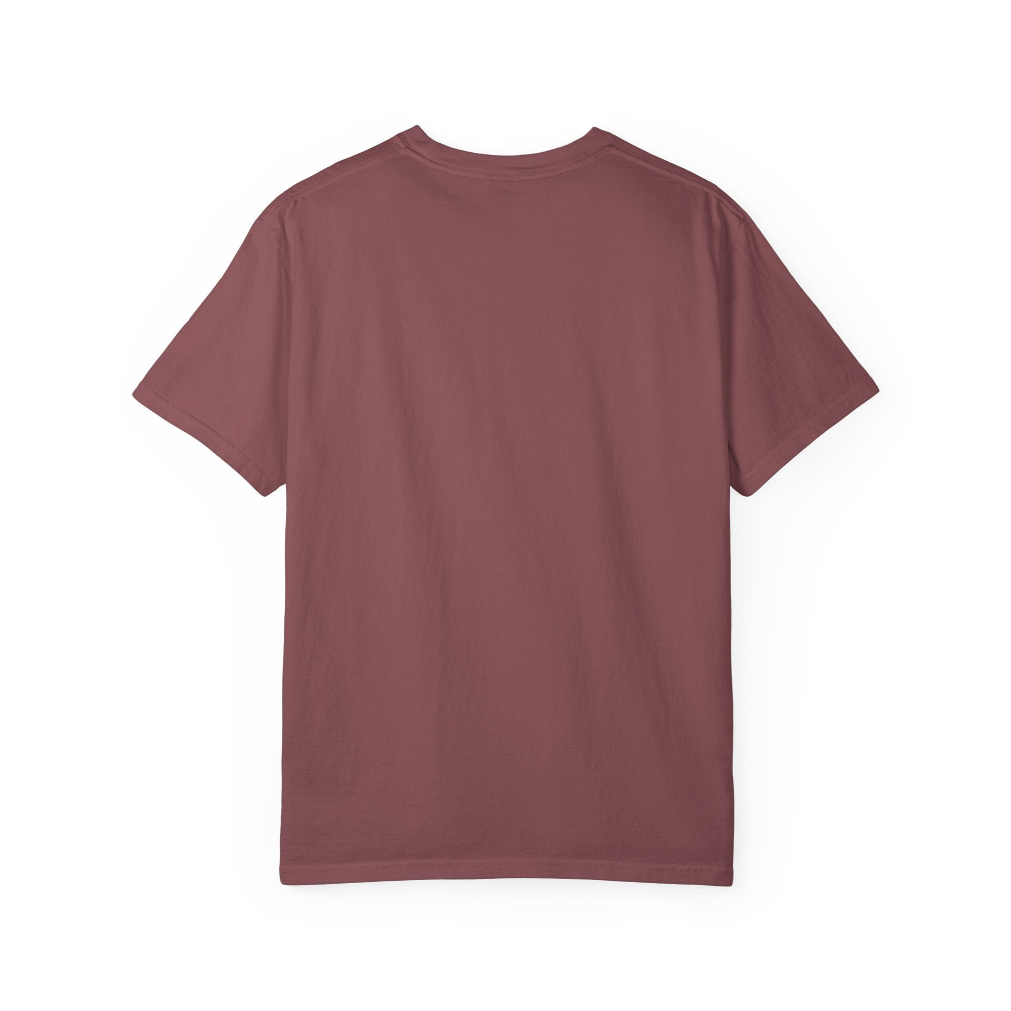 Manifesting Clean Problem List T-Shirt